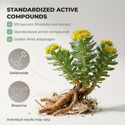 Rhodiola Rosea Supplement – Golden Root Adaptogen Capsules (Buy 1 Get 1 Free)
